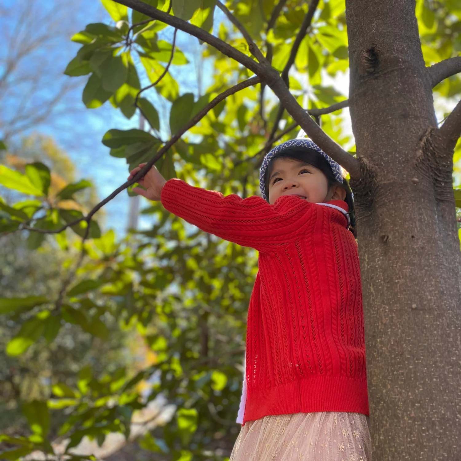 A child reaching up into a tree, smiling in the sunlight